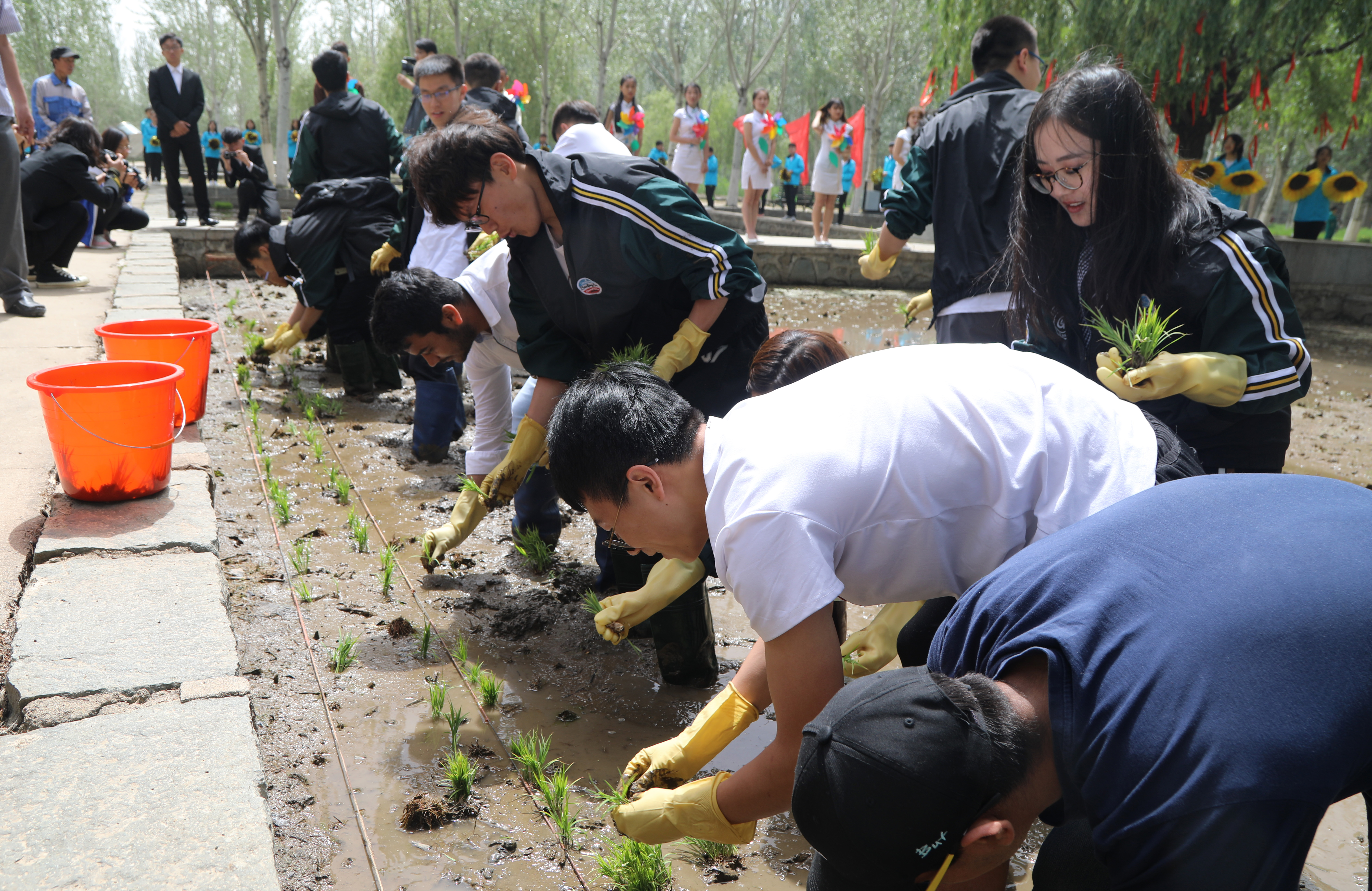 喜迎建校七十华诞 播种希望筑梦未来——学校举办第十六届水稻播种节